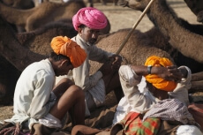 rural men with camels at pushkar mela  