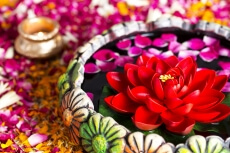 flowers in decorative pot