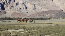 Nubra Valley in Camel Safari Ladakh
