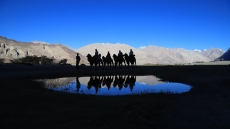 Nubra Valley in camel safari Ladakh