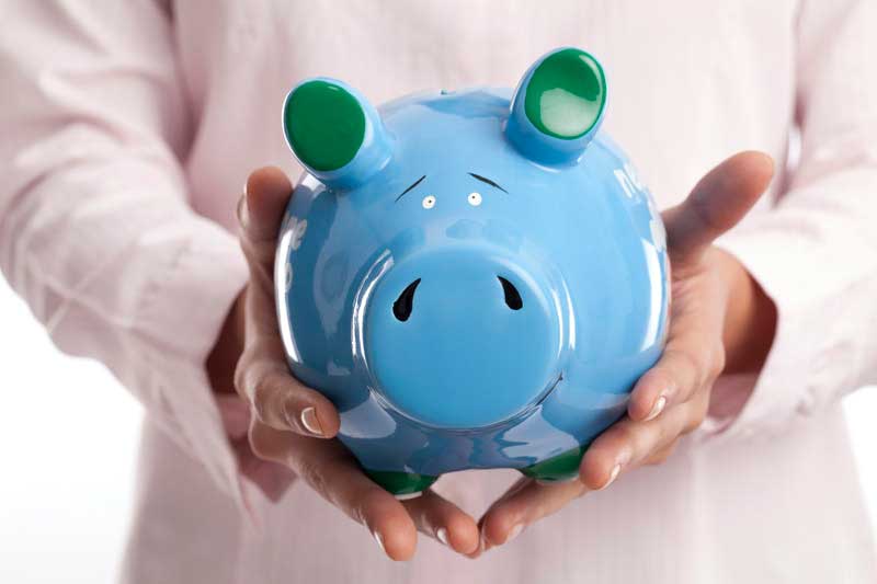 two hands holding piggy bank
