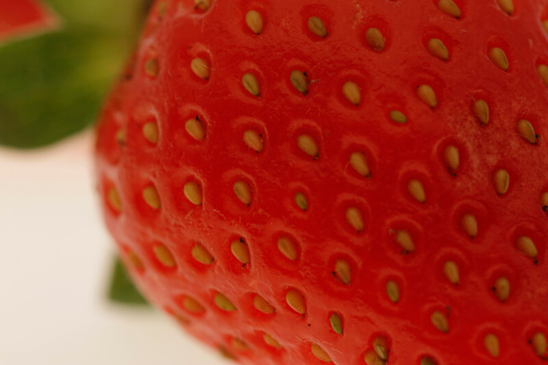 fresh and juicy strawberry
