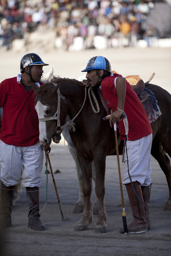 polo players at the polomatch in leh