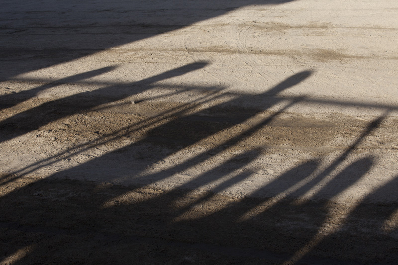 shadow of the polo players at the polomatch in leh