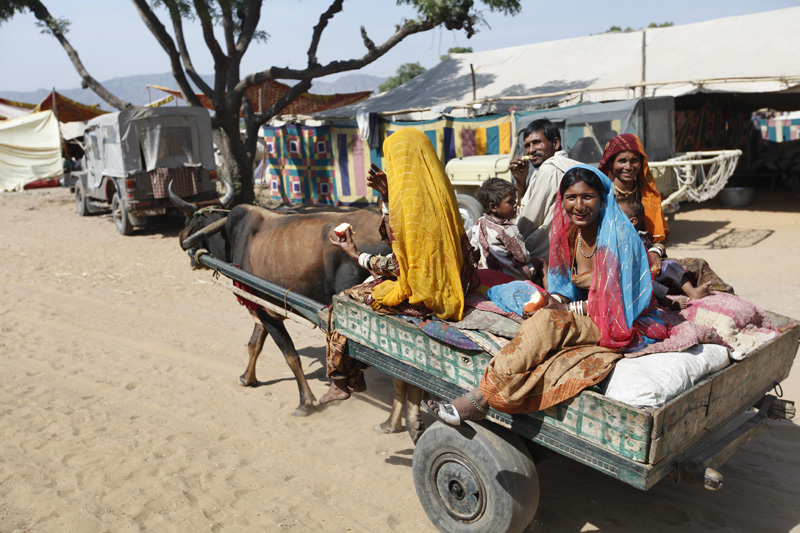 villagers using bullock cart for transport 