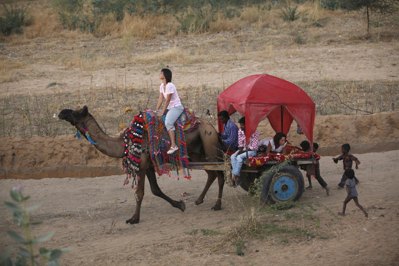 tourist having camel ride at pushkar,rajasthan
