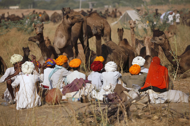 villagers with camels around 