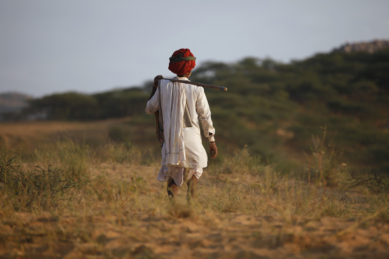 back view of villager walking down the agricultural field 