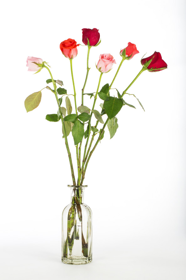 glass vase with fresh flowers against a white background