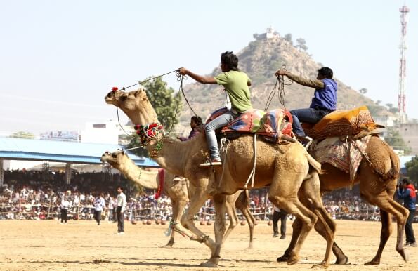Pushkar camel fair in Rajasthan
