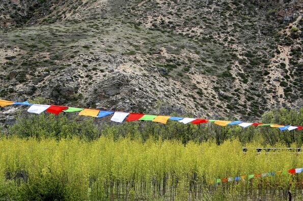 buddhist prayer flags 