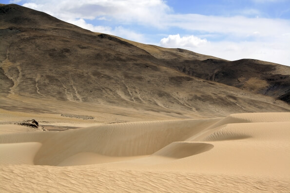 sand dunes in ladakh 