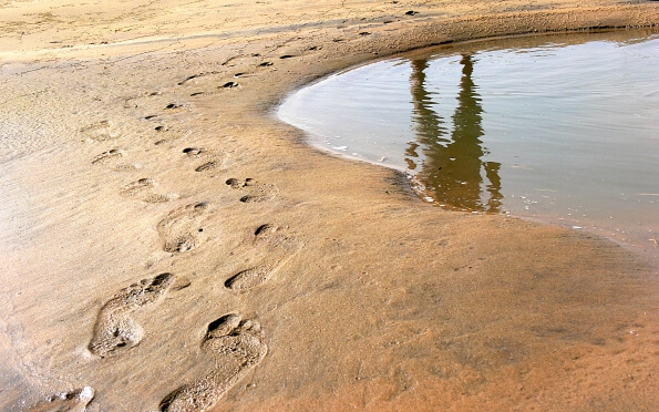 Footprints on wet sand