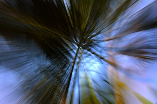 Zoomed out abstract palm leaves
