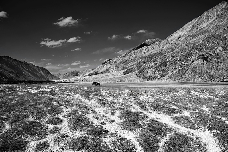 Ladakh Desert